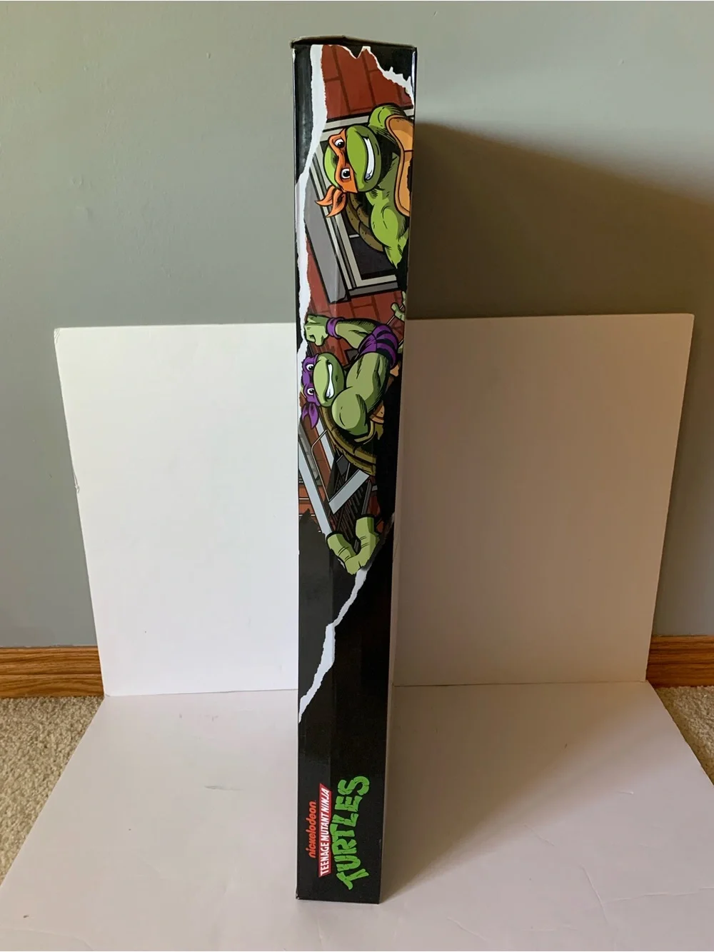 NIB. NICKELODEON TMNT 40” Saucer Swing